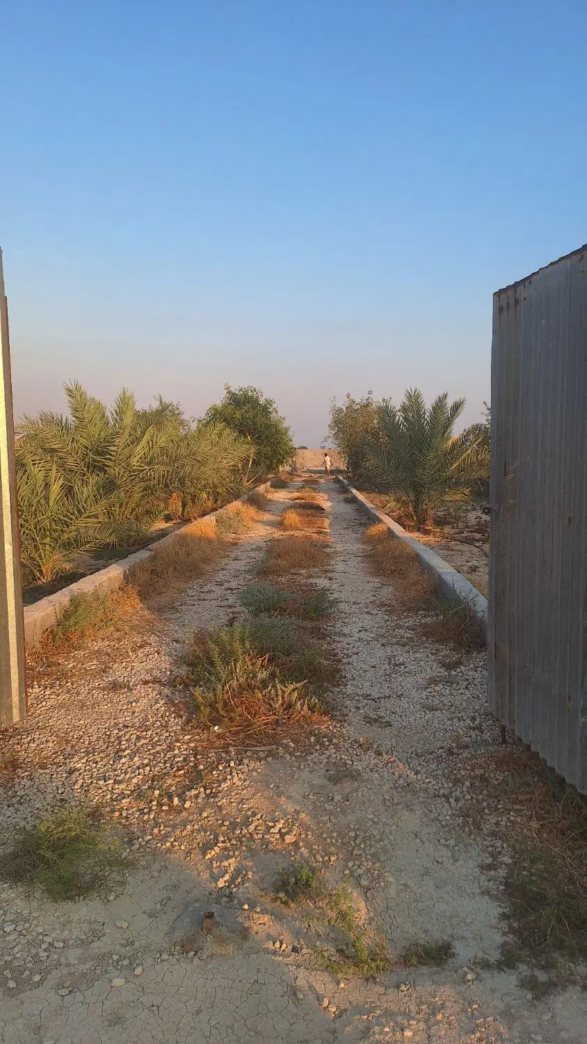 فروش باغ شهری بنک