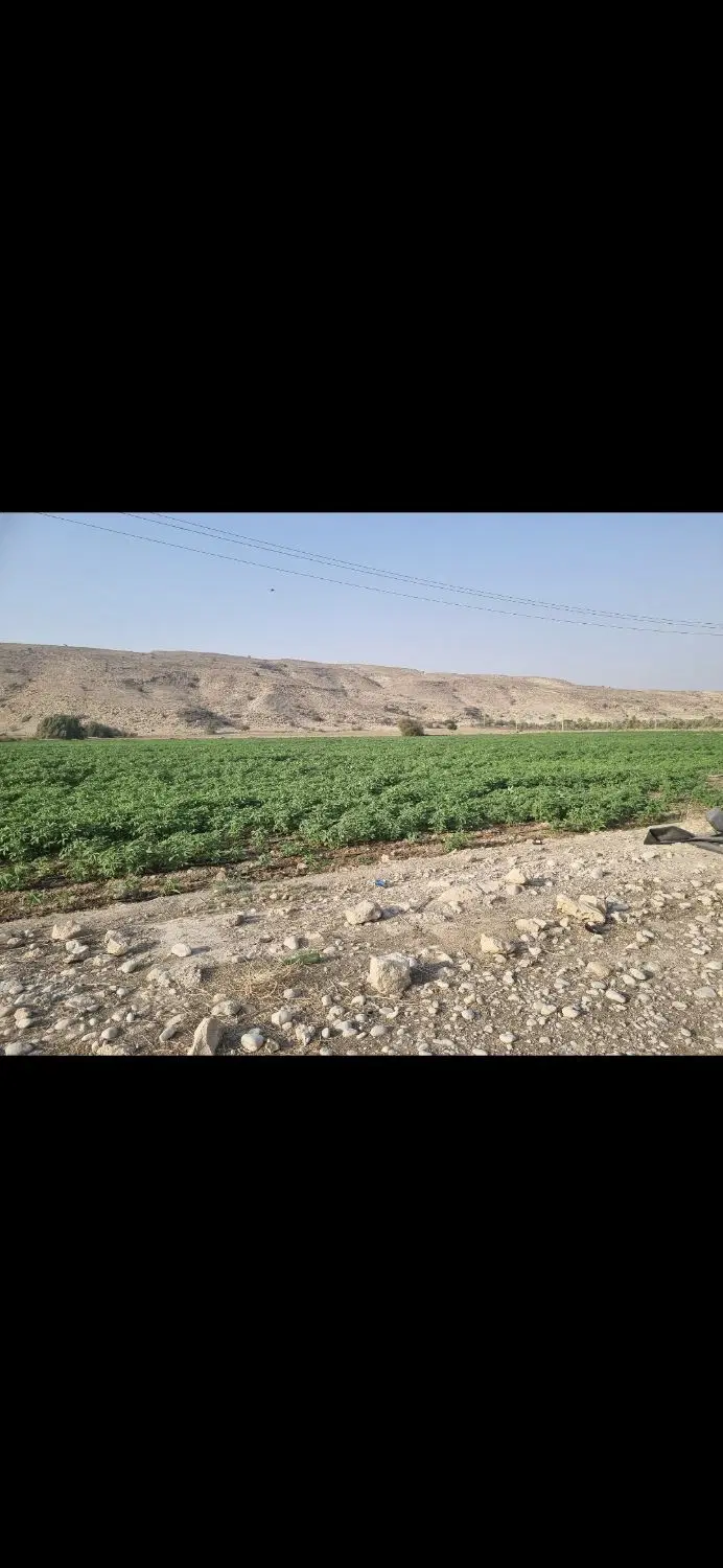 ۱۰ هکتار اجاره زمین کشاورزی
