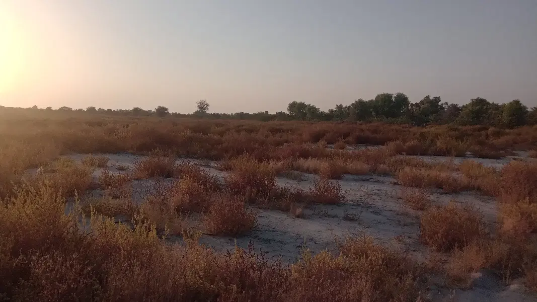 ۳هزار متر زمین میناب بلوار آل محمد جاده تصفیه خانه