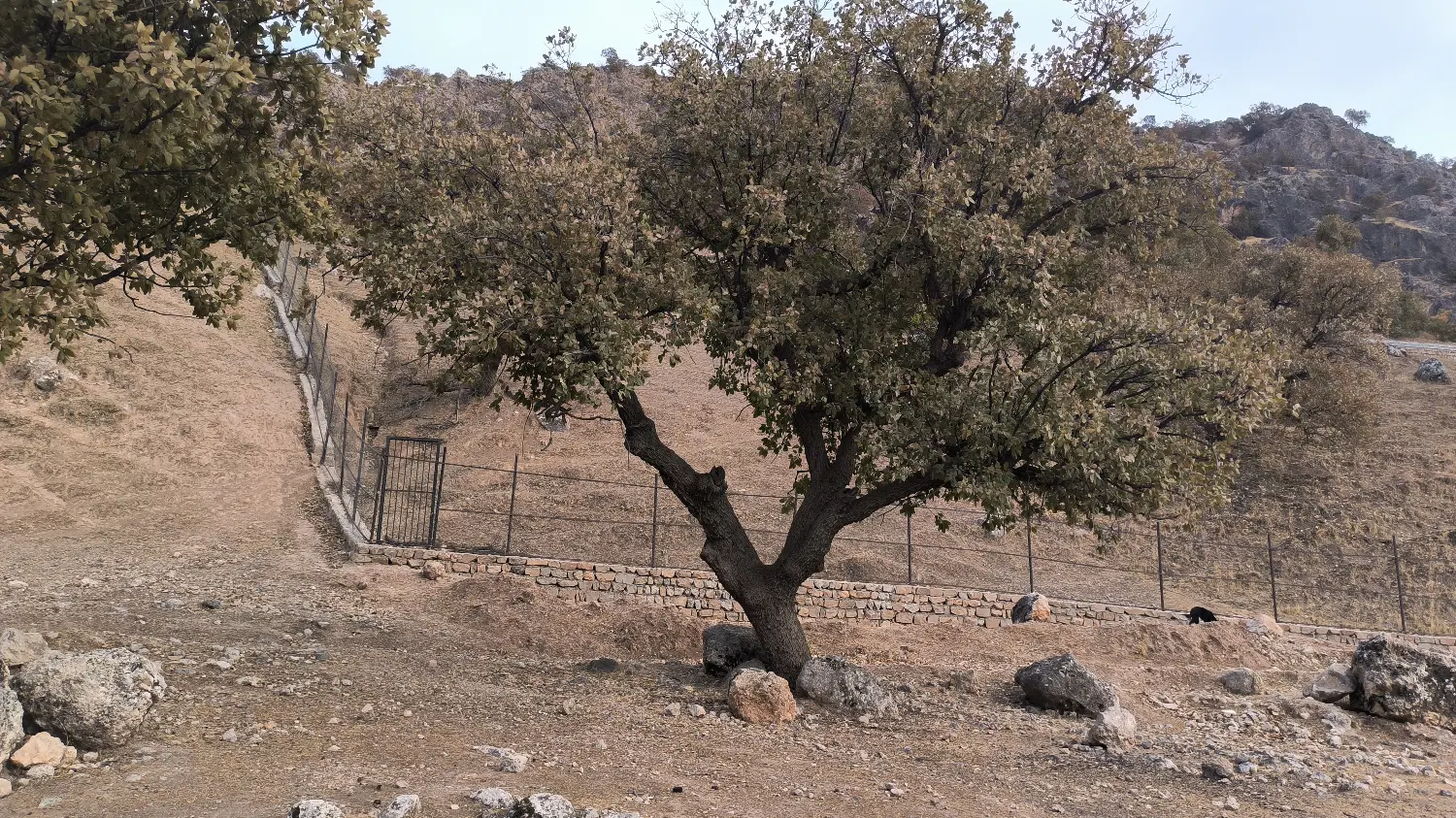 زمین زراس با ویو دریاچه کارون ۳