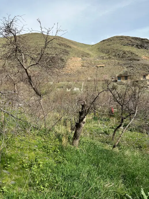 محله زشک ۲۰۰۰ مترباغ مشارک بمگردی