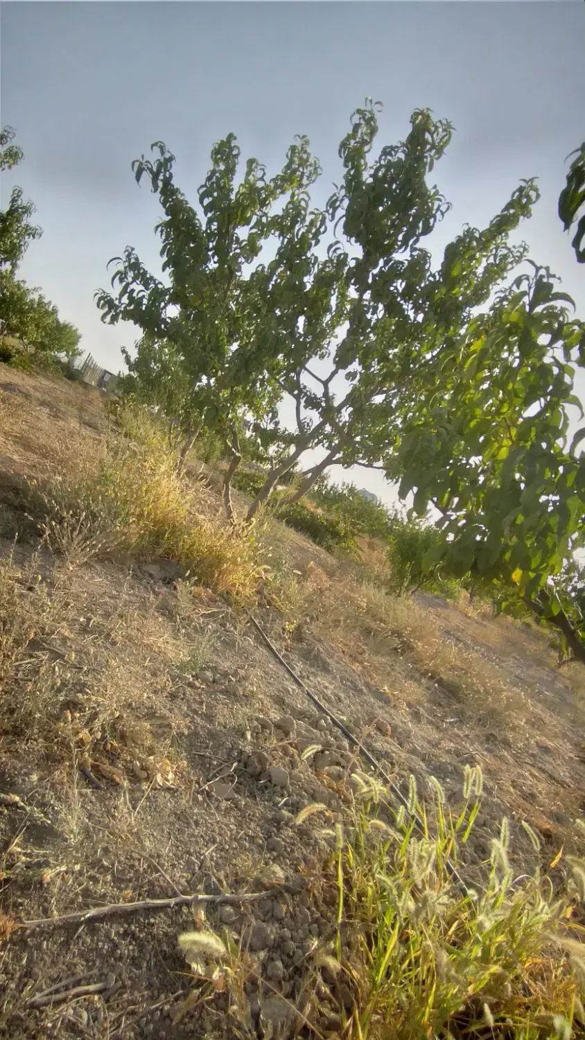 زمین ۶۰۰ متری تنکمان با آب کشاورزی