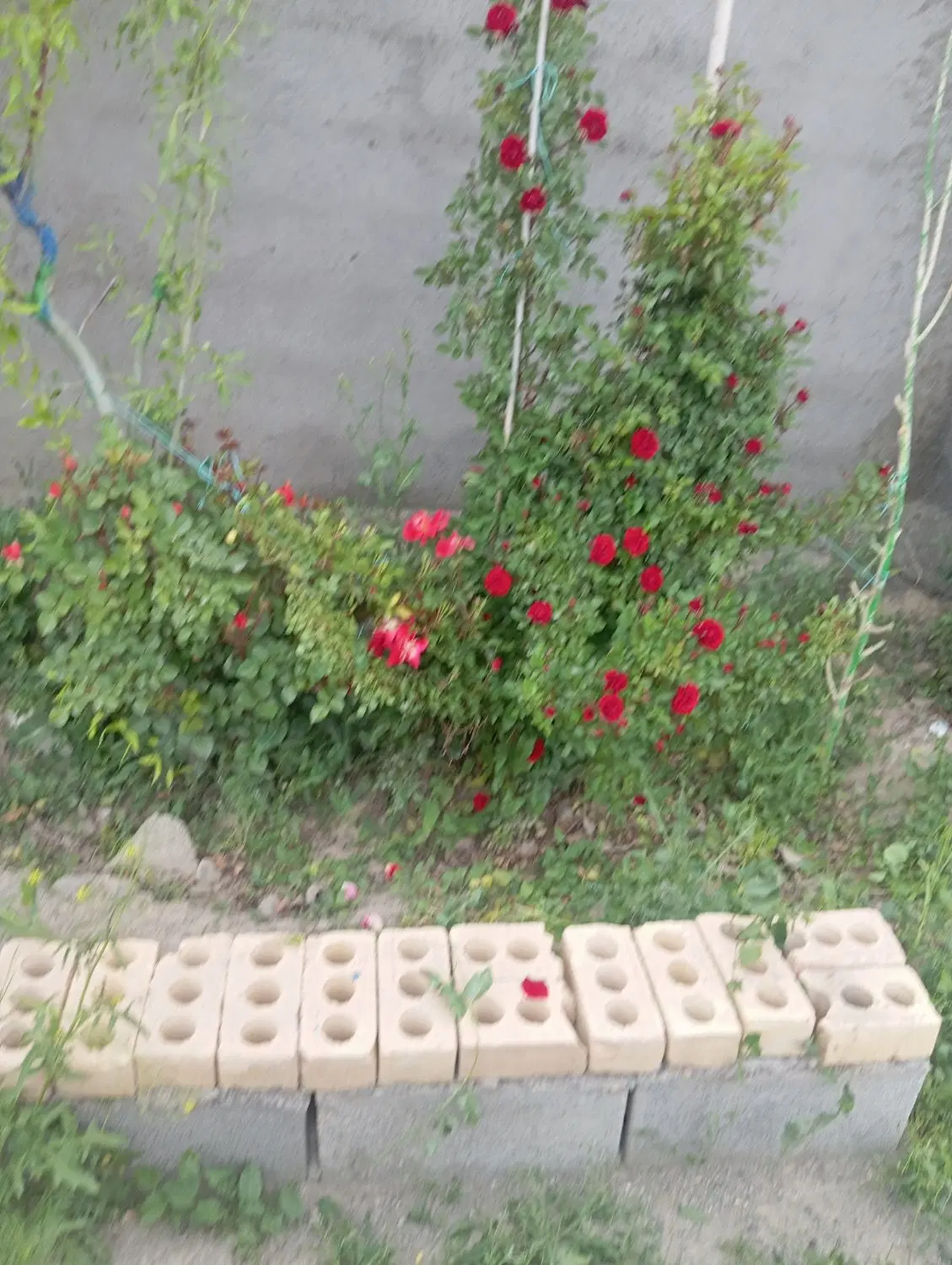 زمین دور دیوارسند ملکی اول شاهنامه۳۵ معاوضه ماشین