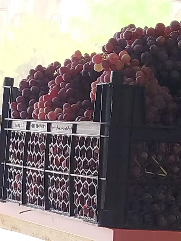 سبزی فروش ماهر