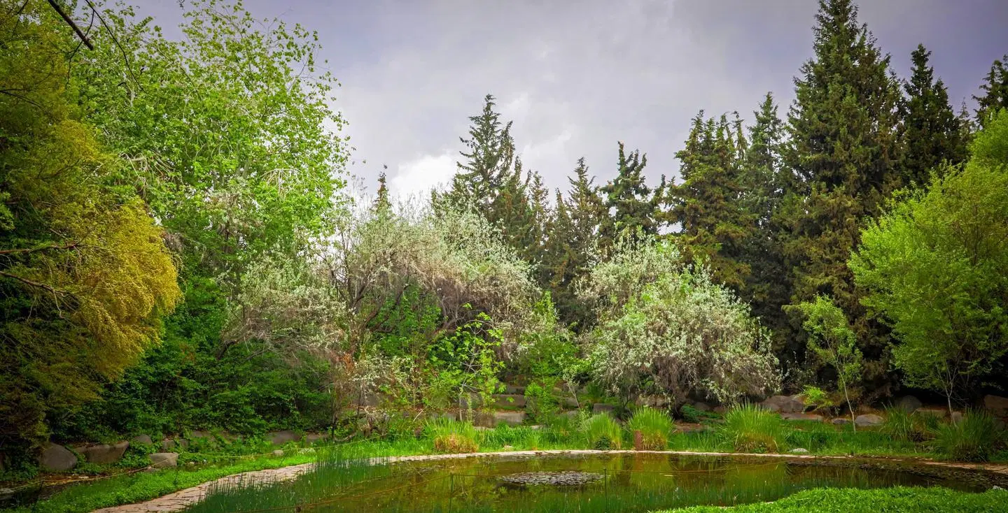 خانه باغی با حیاط