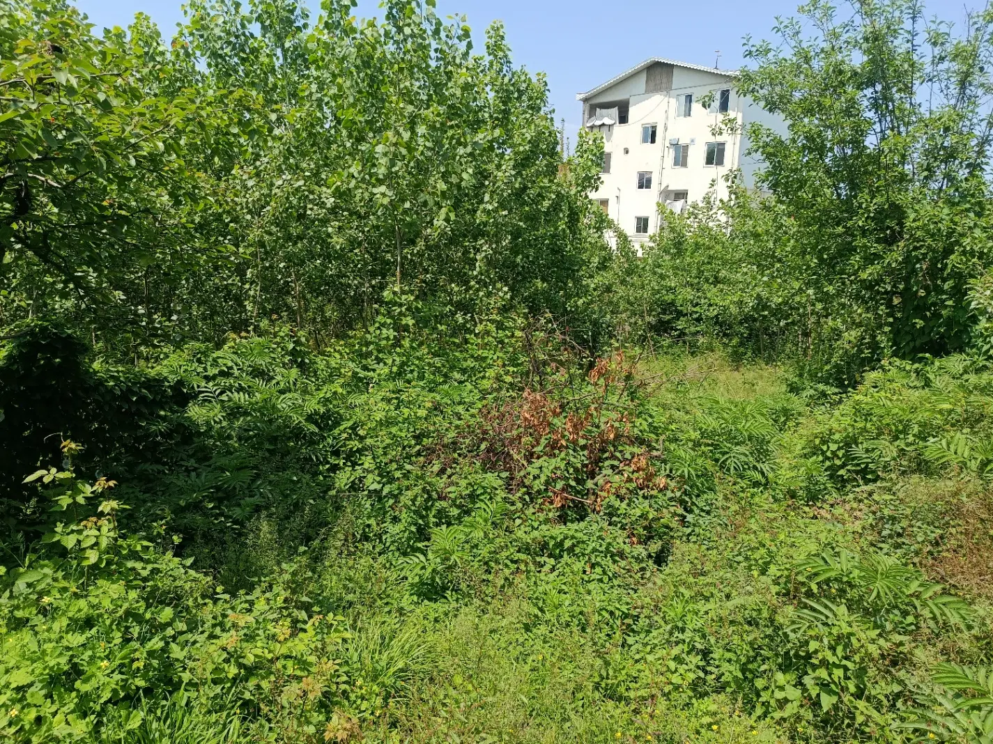 زمین درجای مناسب و آرام