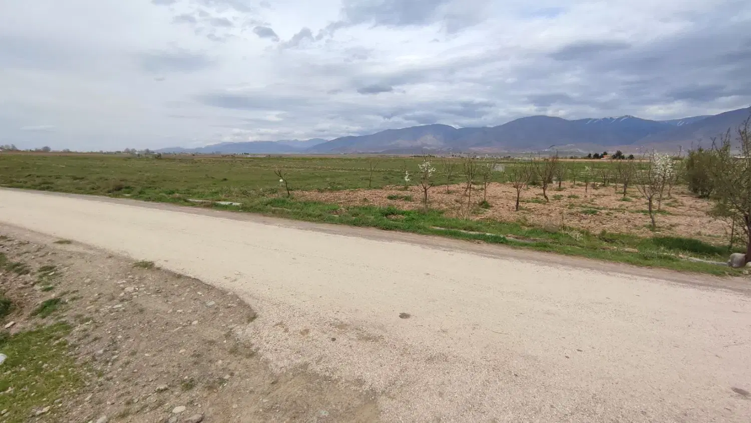 زمین روستای دشت( بهترین موقعیت منطقه)