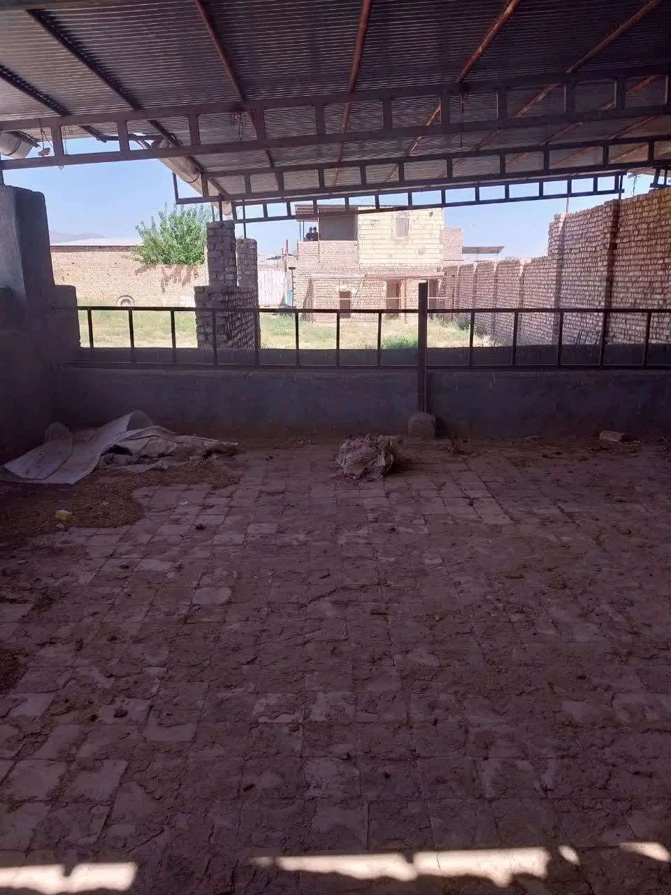 دامداری