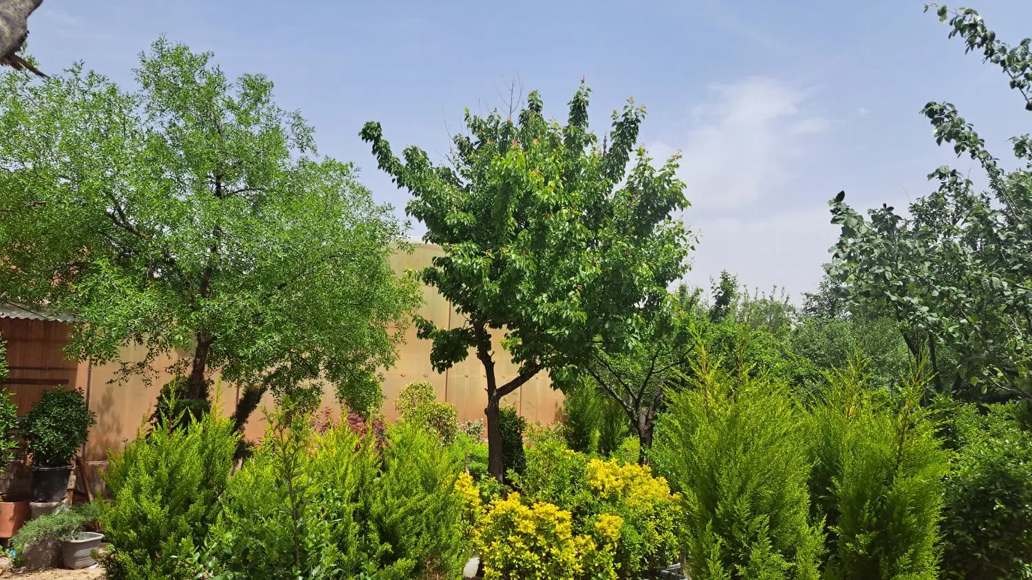 رهن و اجاره گلخانه