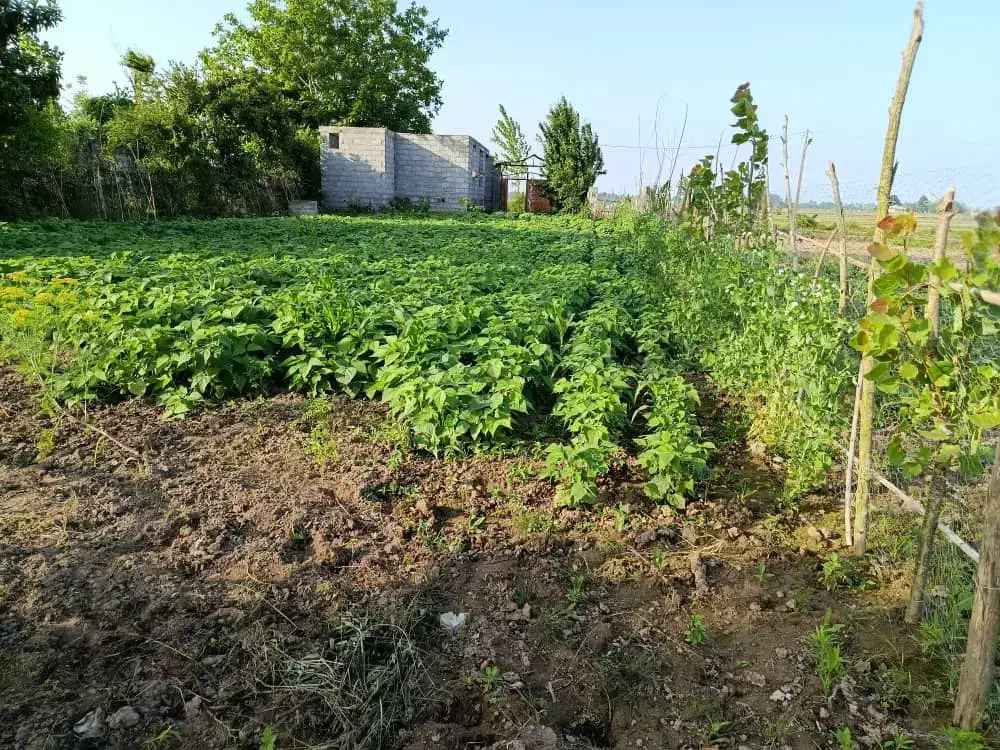 فروش زمین مسکونی