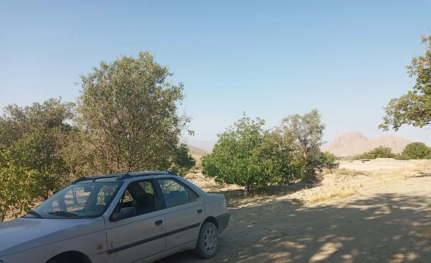 ۵۰۰متر باغ در بیدشک نراق