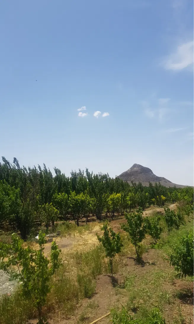 باغچه ۳۰۰ متری ۱۶۰۰