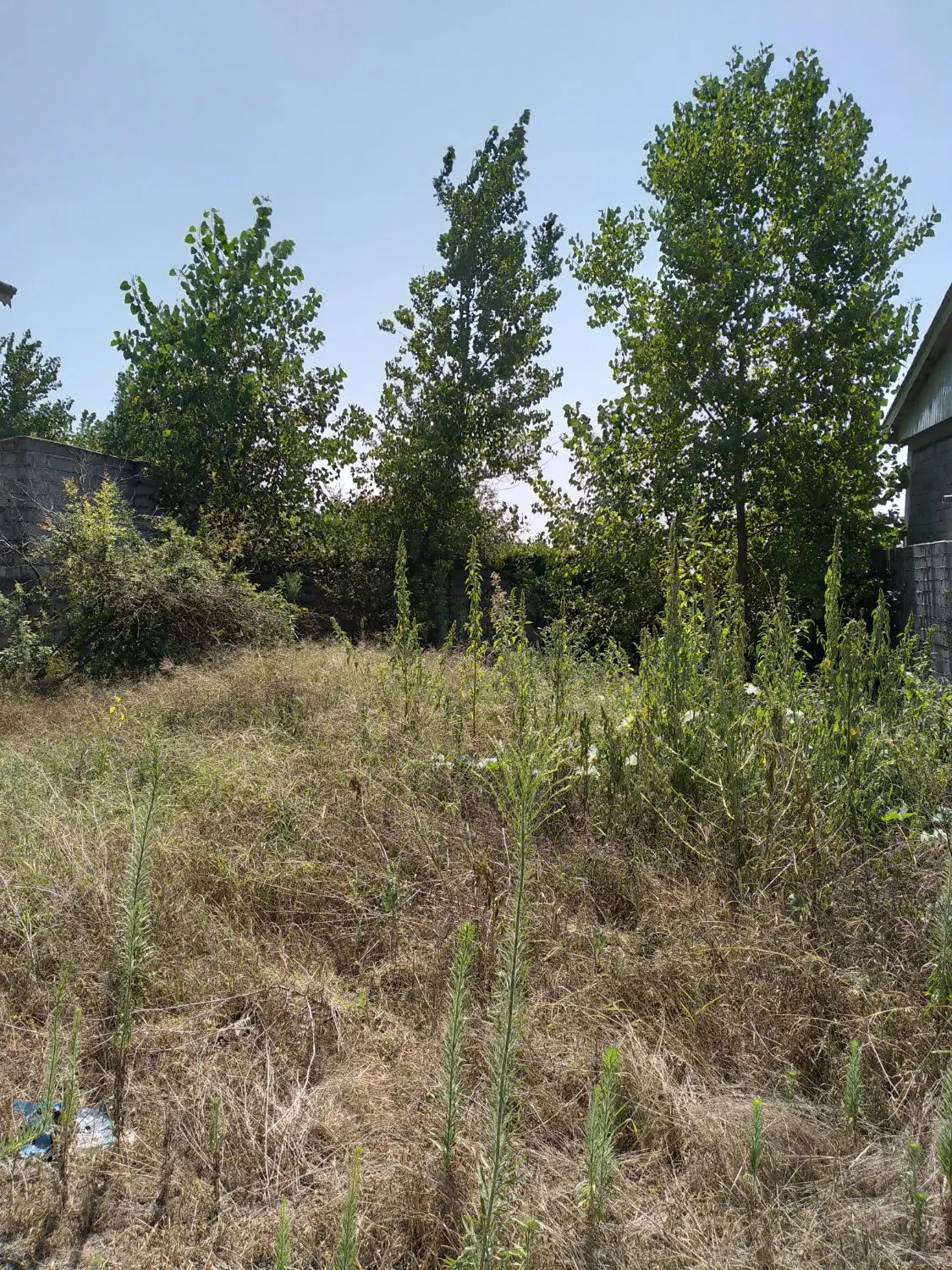 زمین سنددار مسکونی و دور محصور