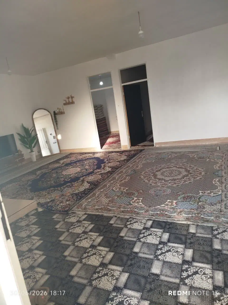 خانه پاپی خالدار بنفشه 2