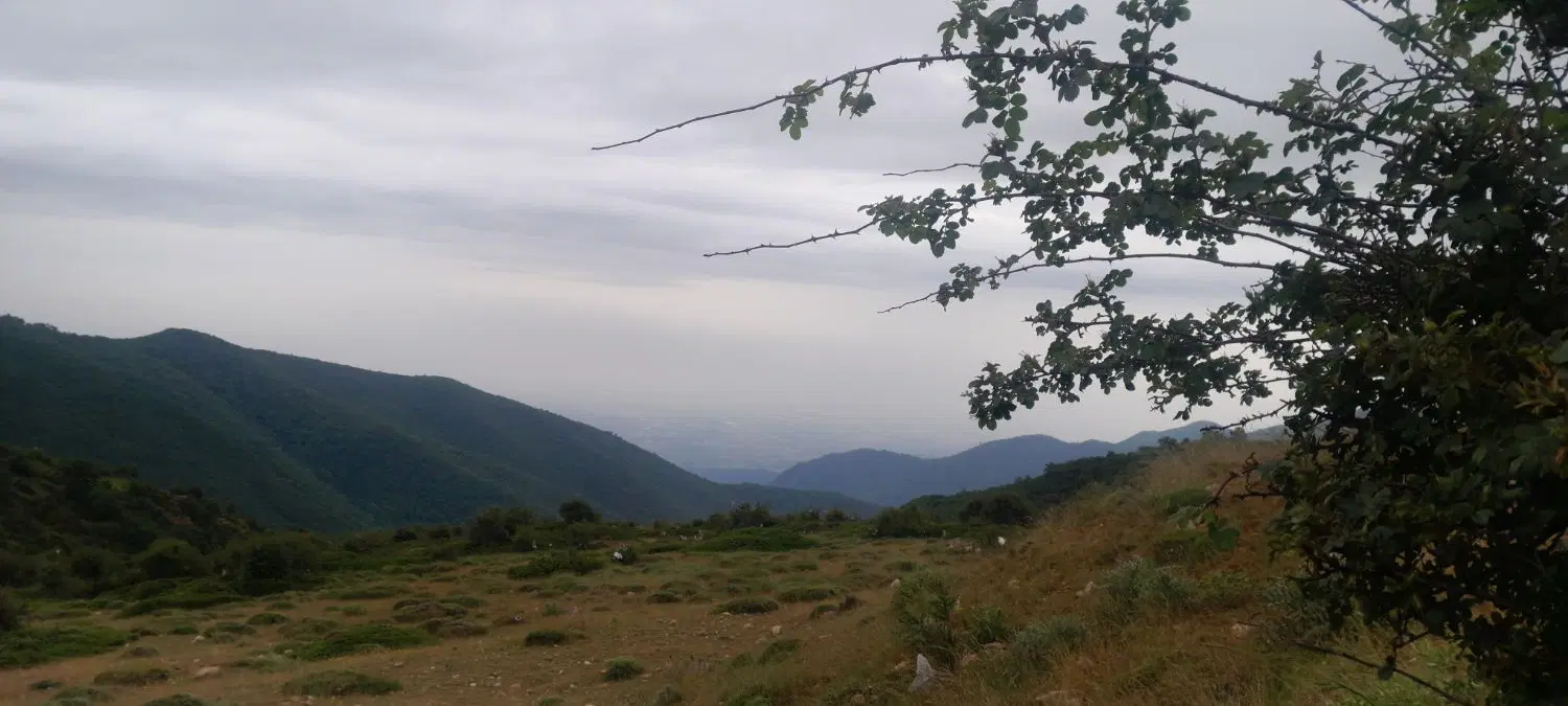 فروش سهام تجاری نیروی دریایی فاز سه سیرجان