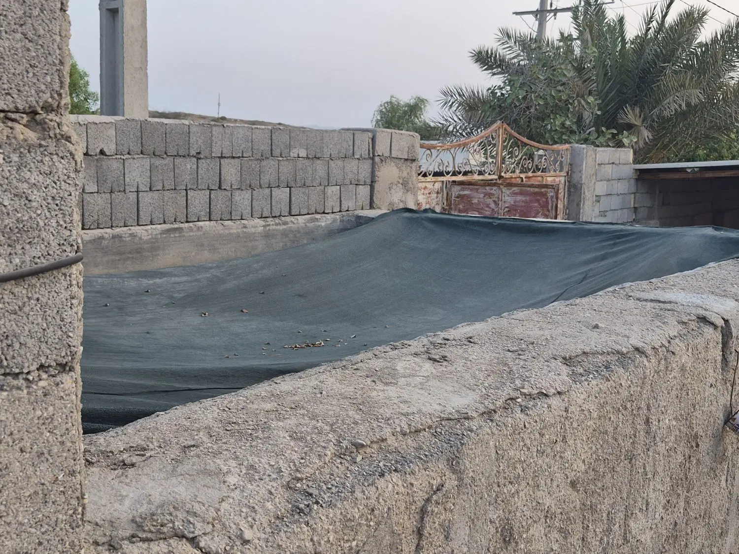 اجاره گاو داری