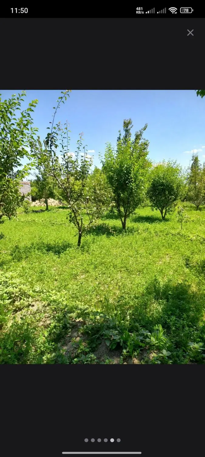 باغچه ۷۰۰ متر شورکندیولی دومین قطعه از آسفالت