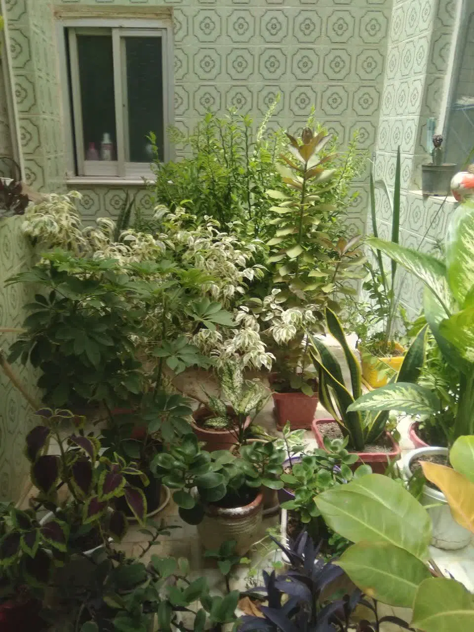 خانه فروشی