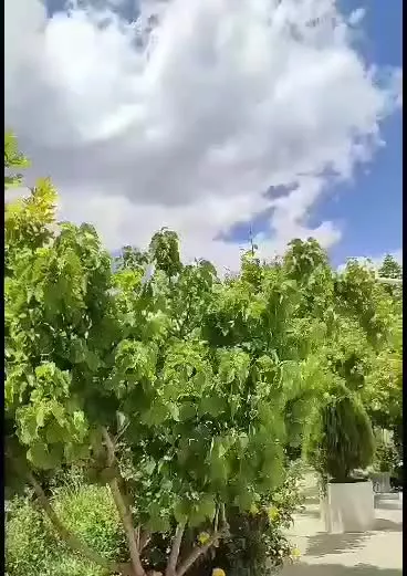۱۲۰۰ متر باغ ویلای لوکس بیستون