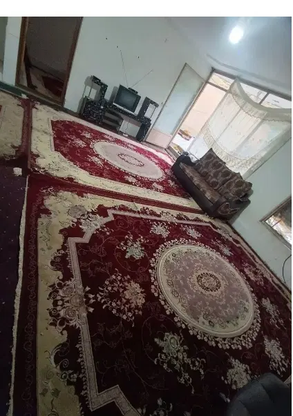 سوییت شبانه روزی