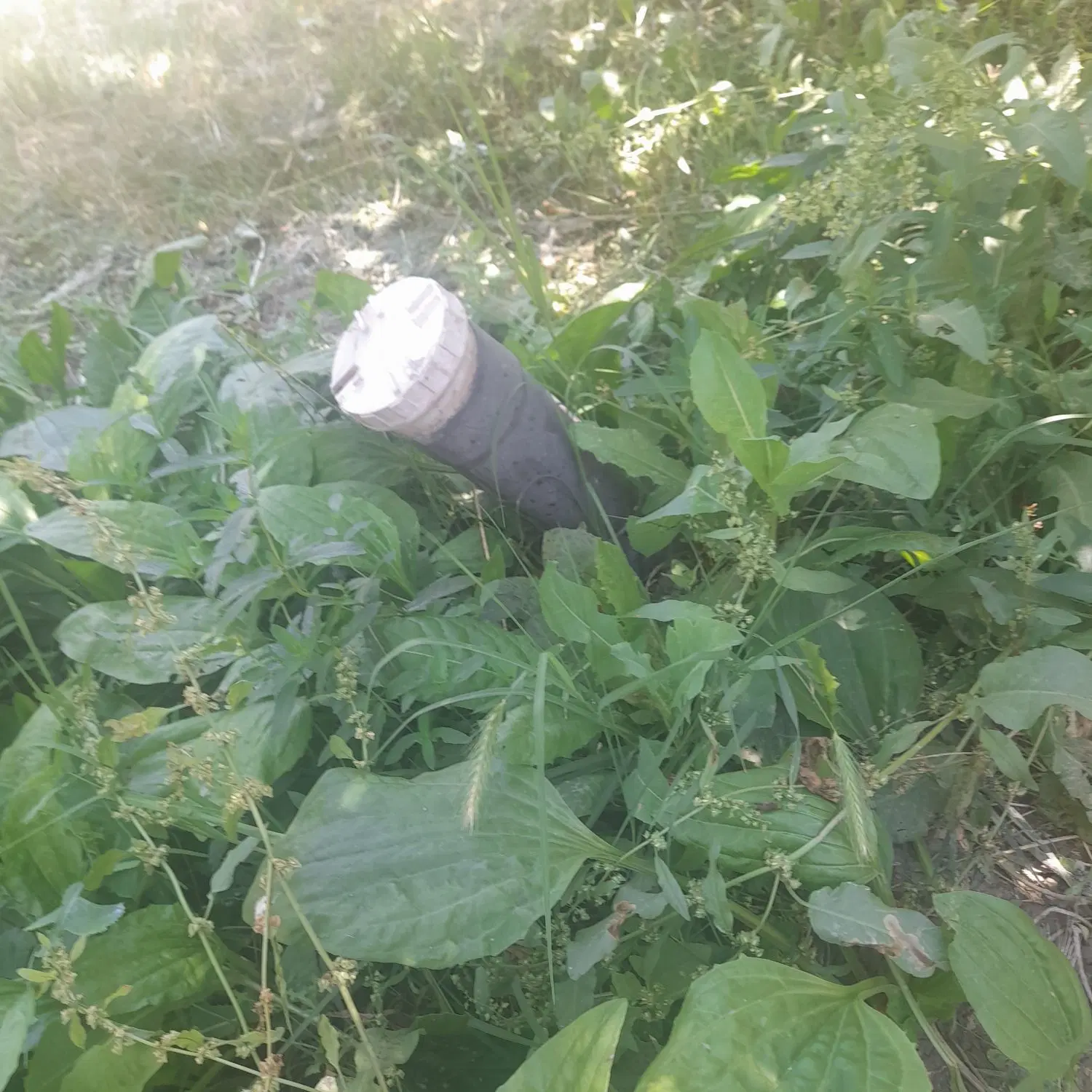 زمین‌ویلای کشاورزی . جاده سلماس .عربلوی دره