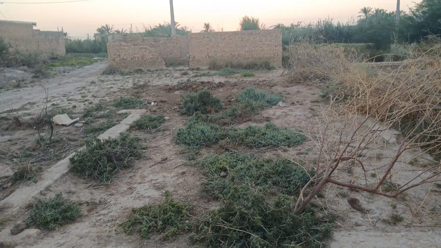 فروش زمین نهر ۶ محرزی
