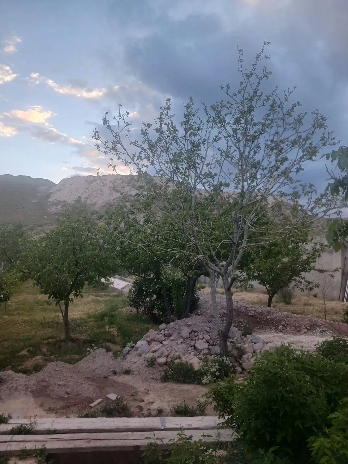 زمین ۲۷۰متری دو نبش اقساطی چاوان یا چوان