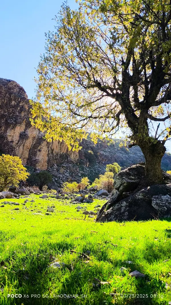 فروش زمین کشاورزی