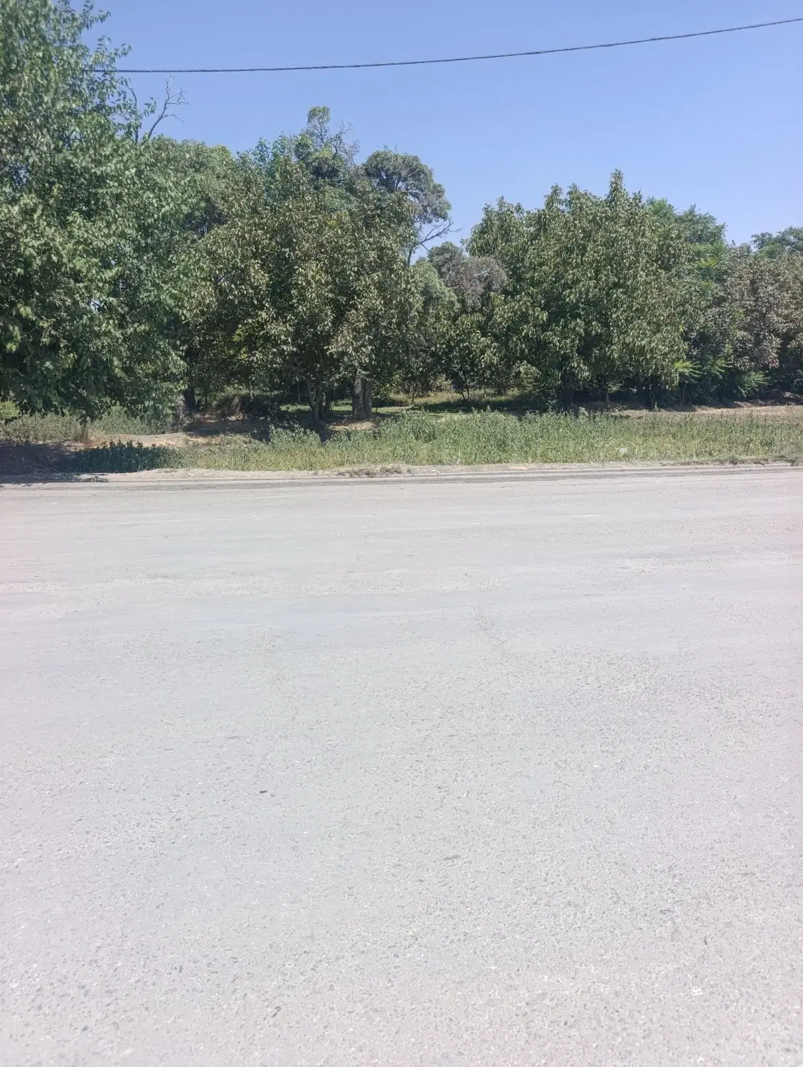 زمین فروشی سیاهکله