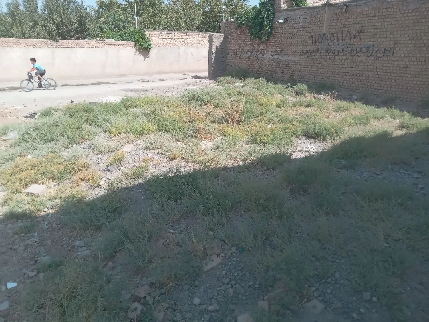 زمین