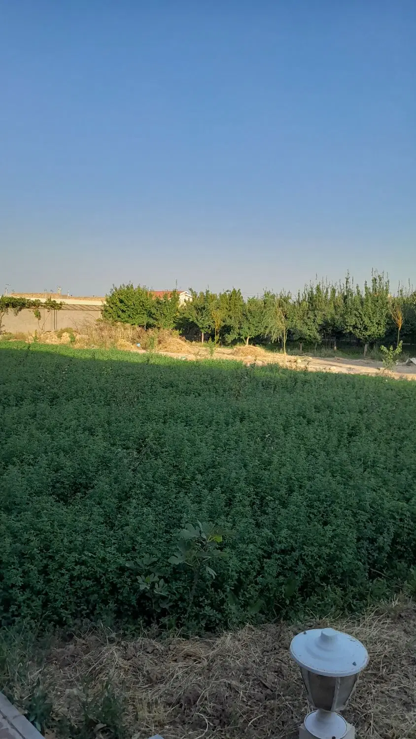 جاده بوژان روستای حمیداباد