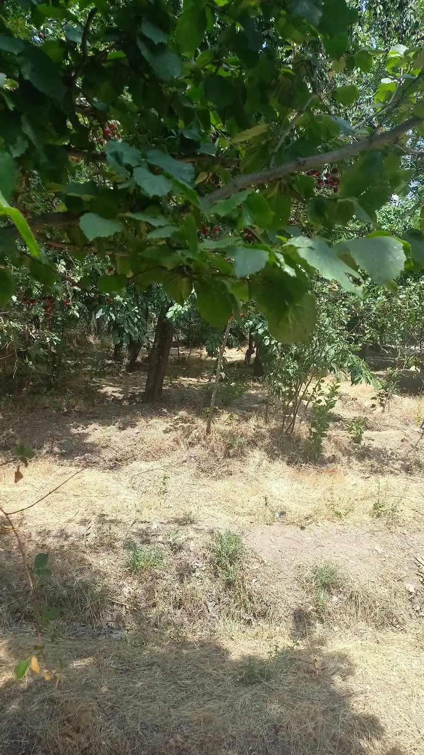 زمین مناسب ویلا و اپارتمان