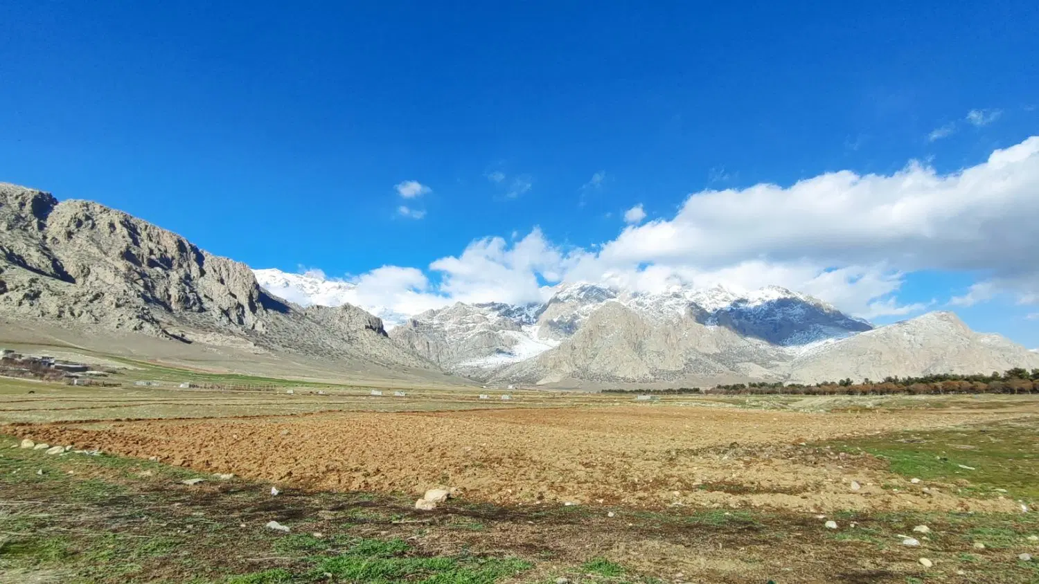 زمین طرح هادی  1000 متری