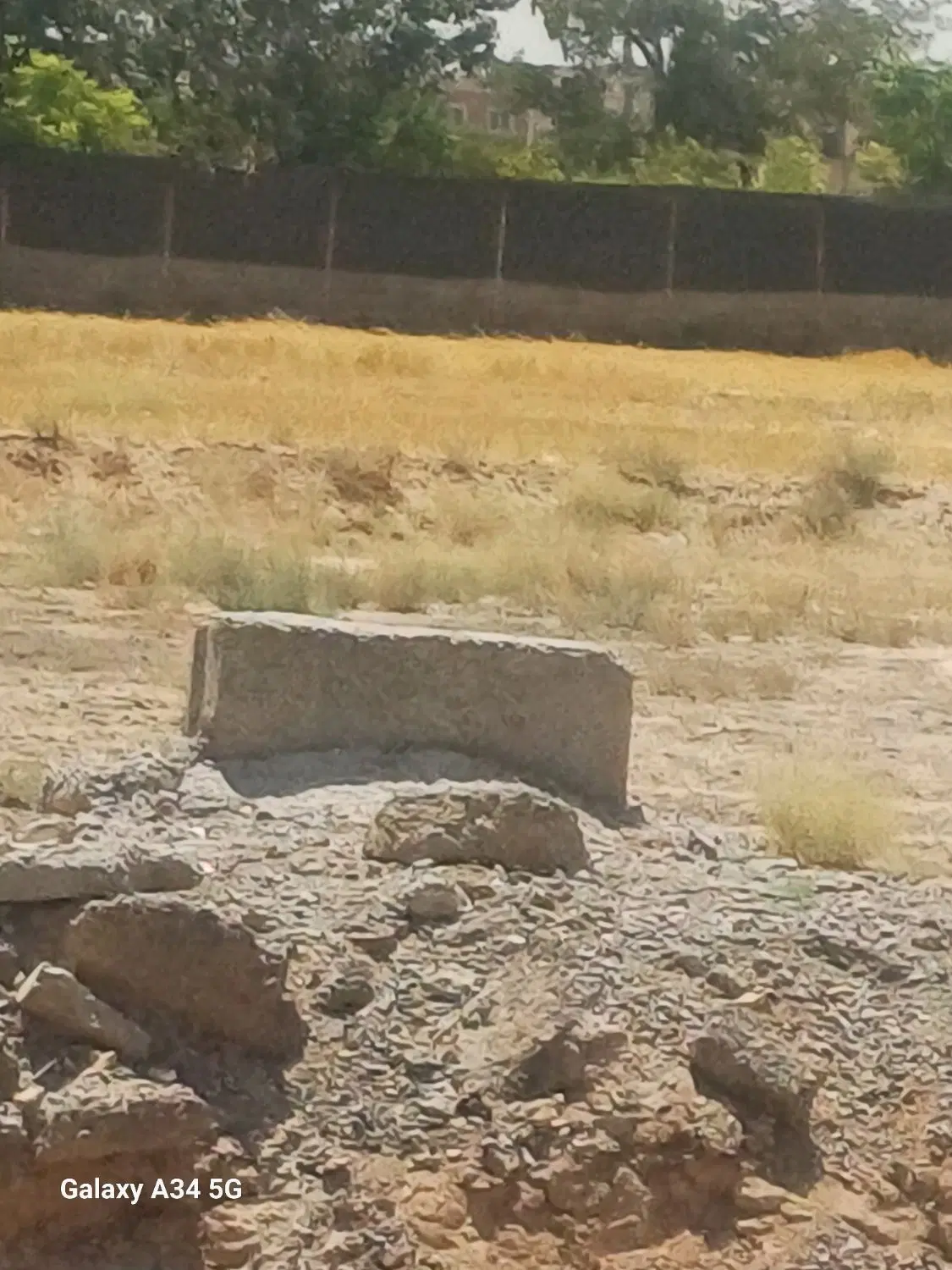 پلاک زمین