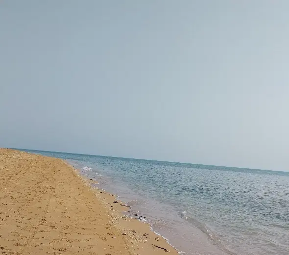 زمین سند تگ برگ ۴ راه گورک