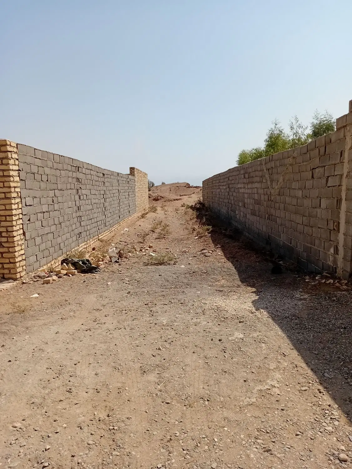 ی قطعه زمین دردشت هاشم اباد