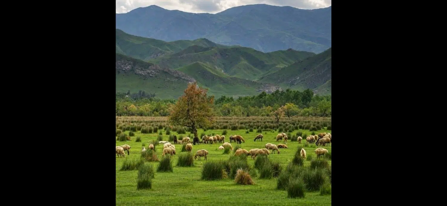 زمین بر خیابان اصلی آق تپه