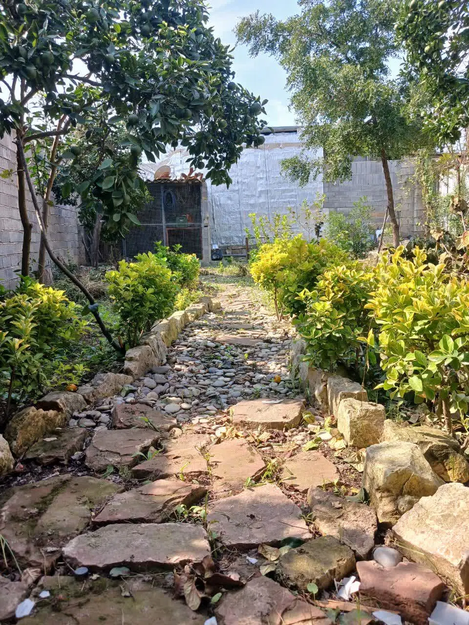 خونه باغ