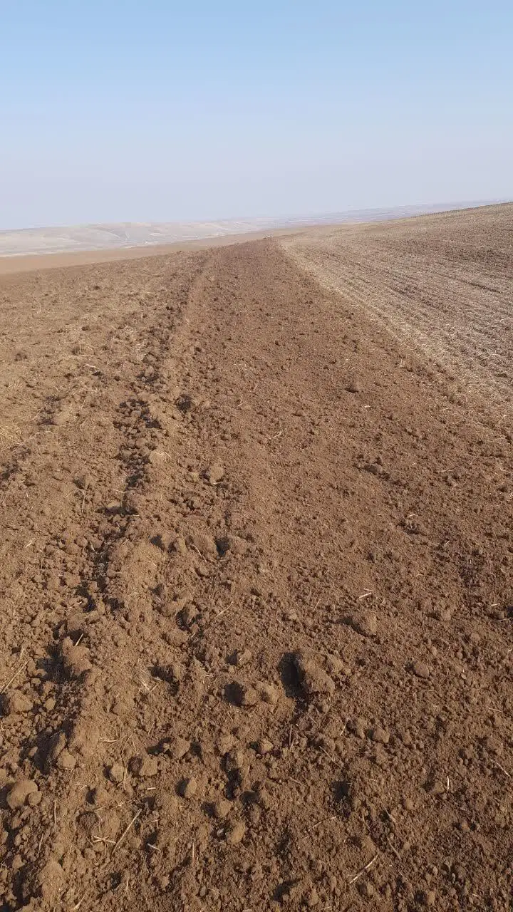 زمین زراعی