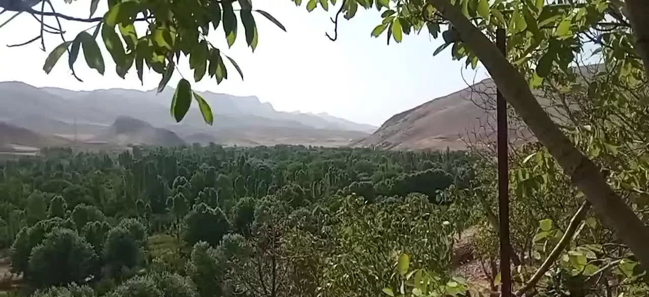 زمین داخل بافت کارده