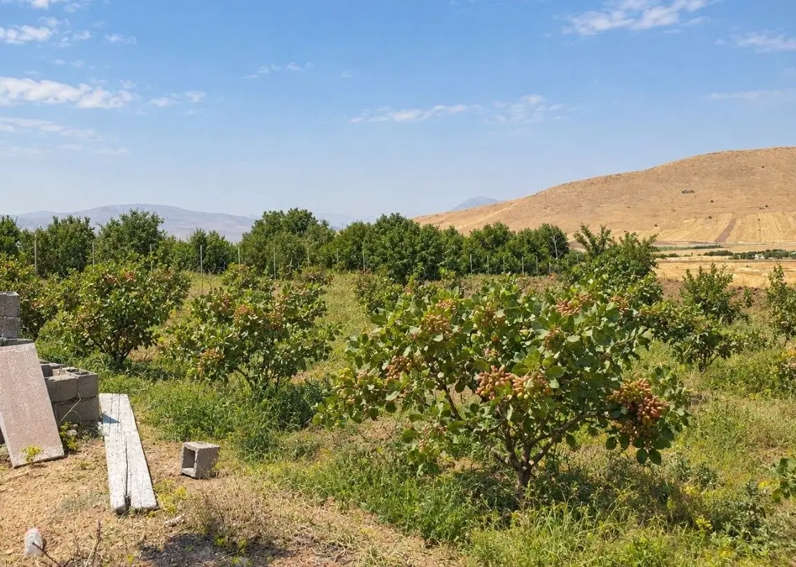 باغ و خانه باغ۲۵۰۰ متری