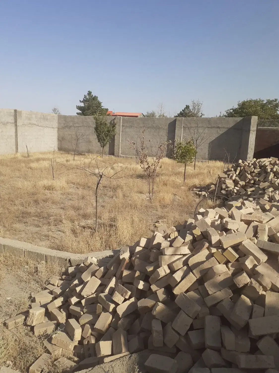 باغ امینیه