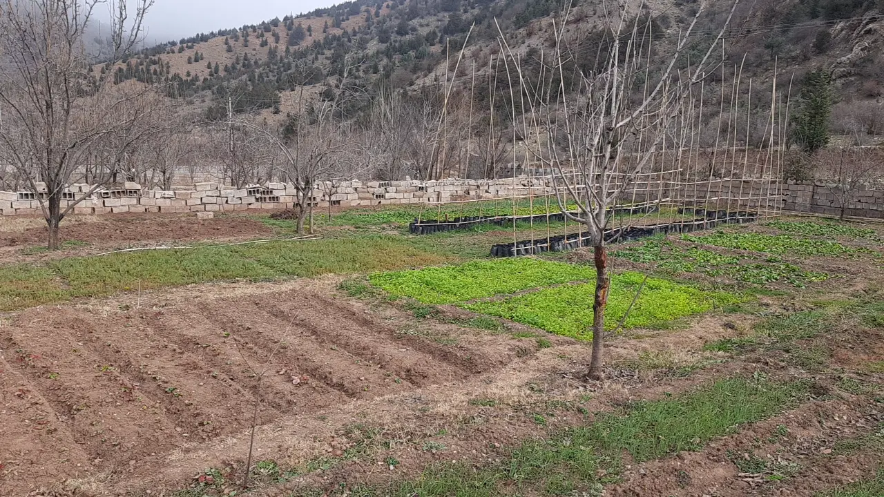 باغ درالستان