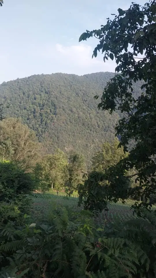 زمین در تالش (روستای سیله سر) ۱۰۰۰متر