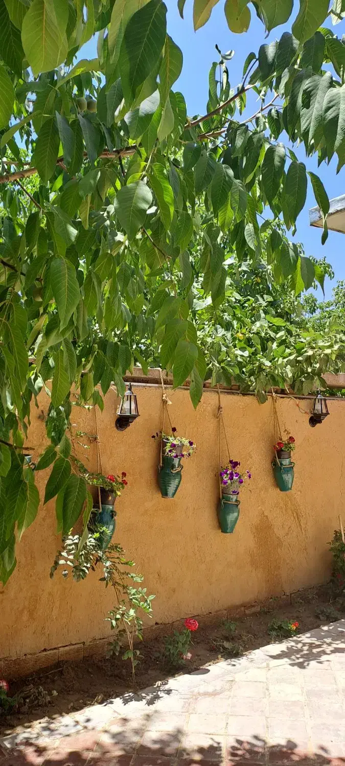 اجاره روزانه بومگردی