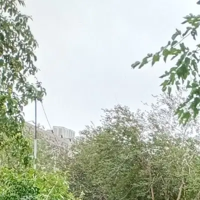 رهن و اجاره خانه در چهاردانگه