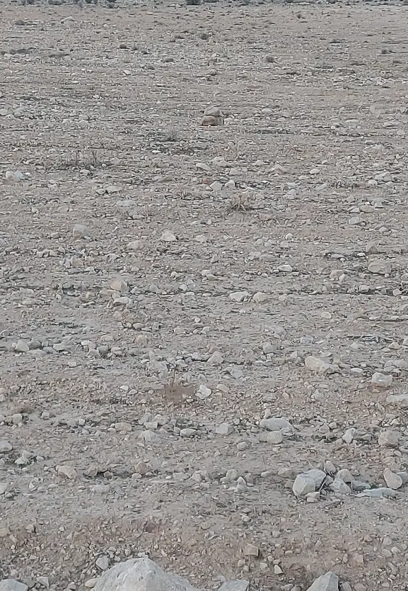 زمین فروشی