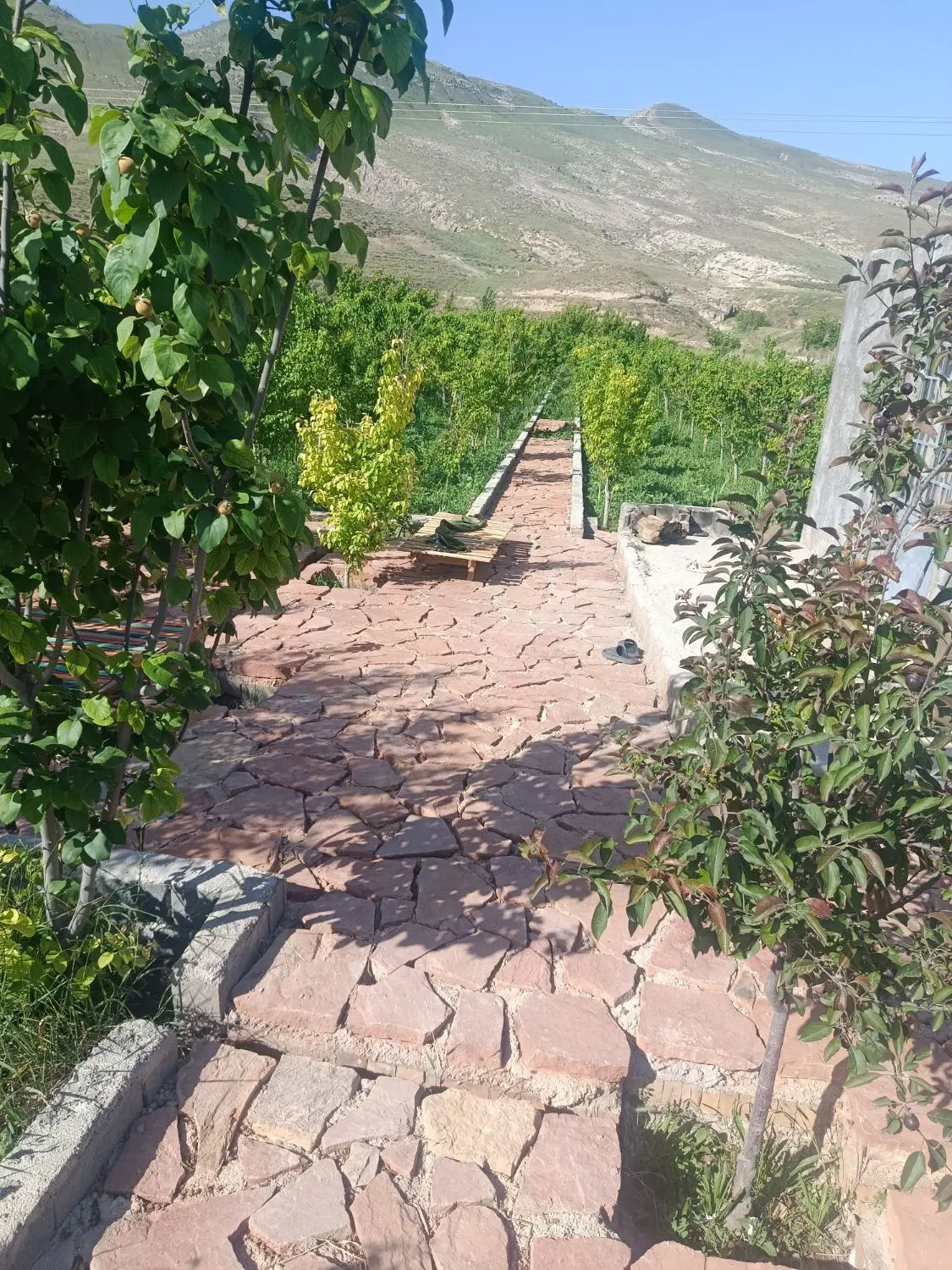 باغ روستای قوچ قلعه بجنورد