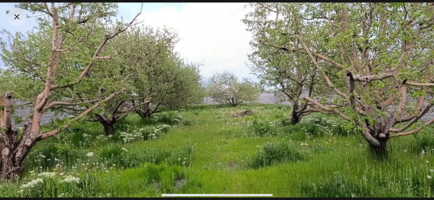 باغ ۳۰۰۰متری آلو و گیل انار در بر جاده اصلی گجین