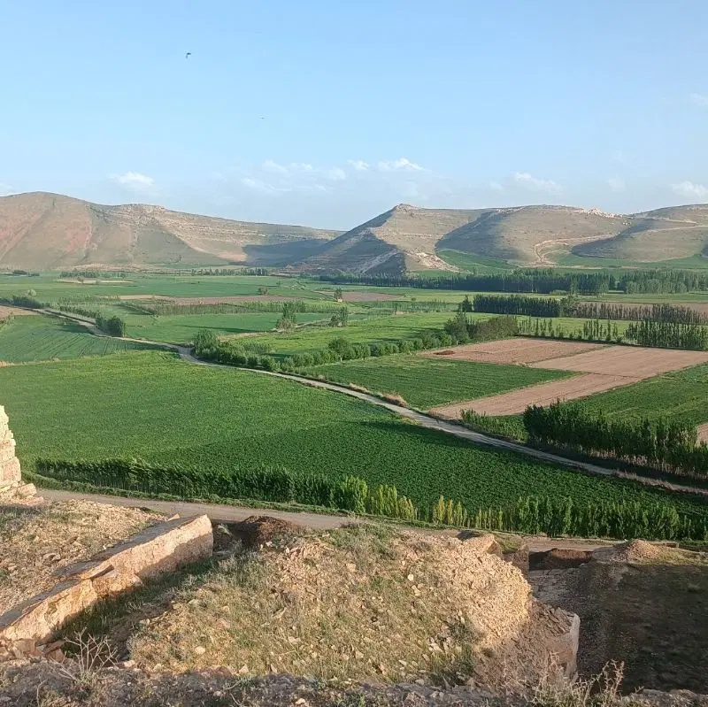 فروش زمین تجاری مسکونی